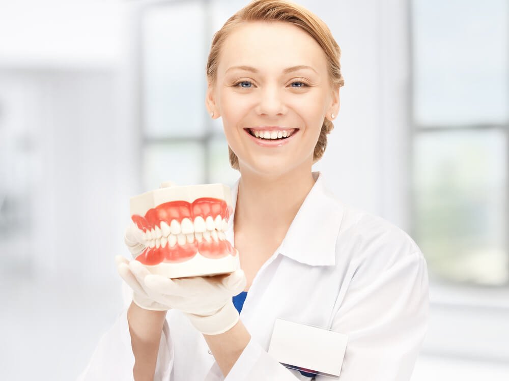 a Dentist in Rescue CA holding a teeth model